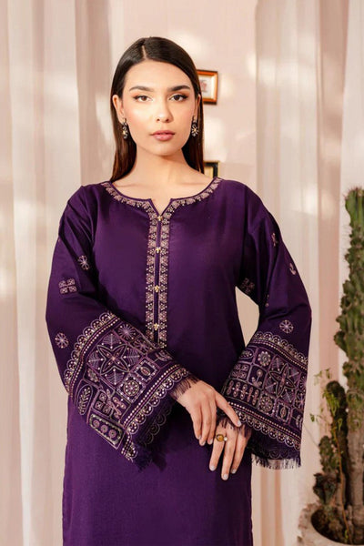 QN881 - 2PC Dhanak wool Embroidered Suit